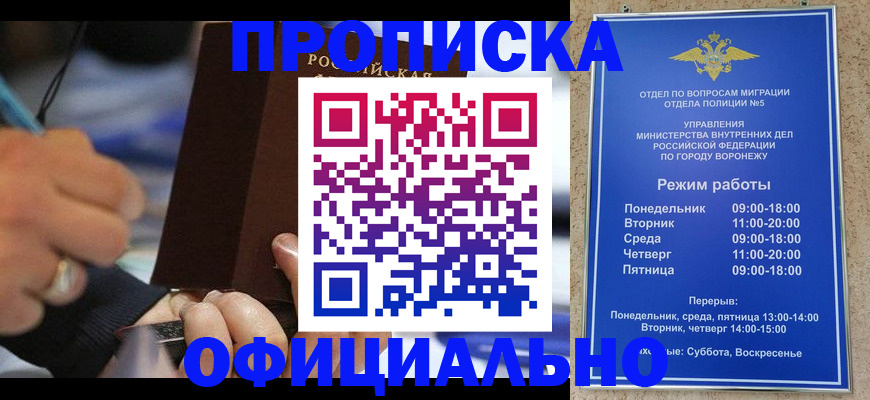прописка поиск в Туле